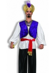 Desert Prince Costumes - Bollywood and Arabian Costumes